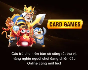 Giám đốc Marketing của vn188