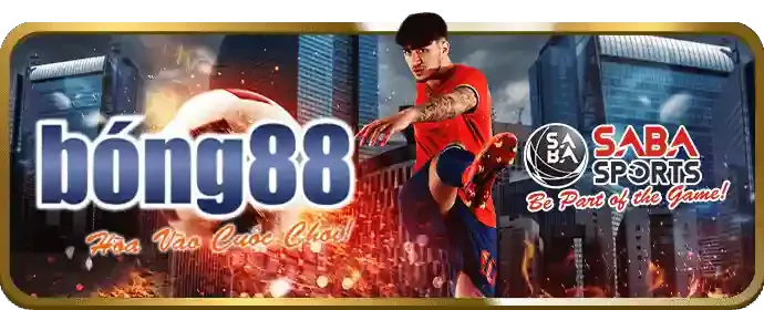 Hoàn Trả Hàng Tuần Thể Thao